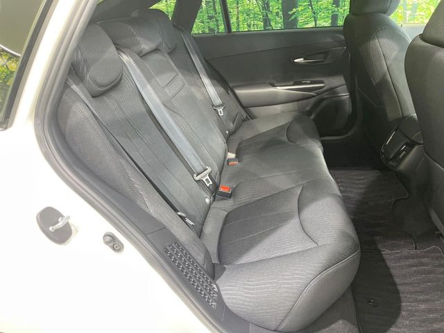 �㕔���Ȃ��C�ɂȂ�悤�ȃL�Y�E�����ւ��蓙�A�傫�ȃ_���[�W�͂Ȃ��A�ǍD�ȏ�Ԃł��B