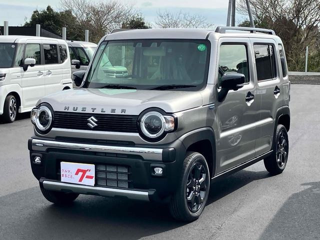 ハスラータフワイルド