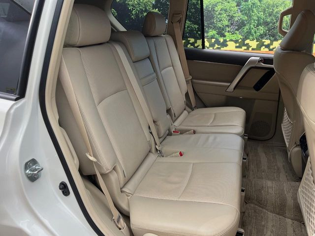 �㕔���Ȃ��C�ɂȂ�悤�ȃL�Y�E�����ւ��蓙�A�傫�ȃ_���[�W�͂Ȃ��A�ǍD�ȏ�Ԃł��B