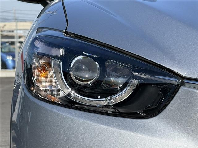 ���Ǝҗl�ւ̔̔��͂��f�肳���Ă��������܂��B �Ԍ������ԗ��̏ꍇ�́A�Ԍ����擾�������x�������z�ŕ\�����Ă���܂��B