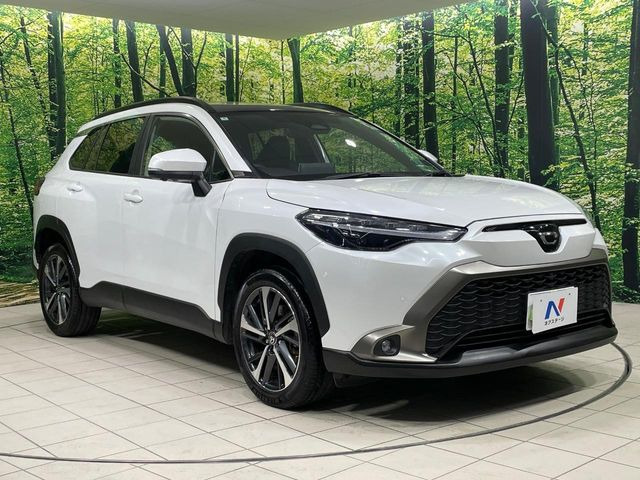 �������x�̃K���X�疌�ŝ����͂������A�㎿�ȃc���E����������B���O����_���J�����؂Ȉ��Ԃ�ی삵�A�F�����E�򉻂�h�~�B�u�e�X�v���b�V���R�[�g�v�A�u�e�v���~�b�T�R�[�g�v���炨�I�т��������܂��B