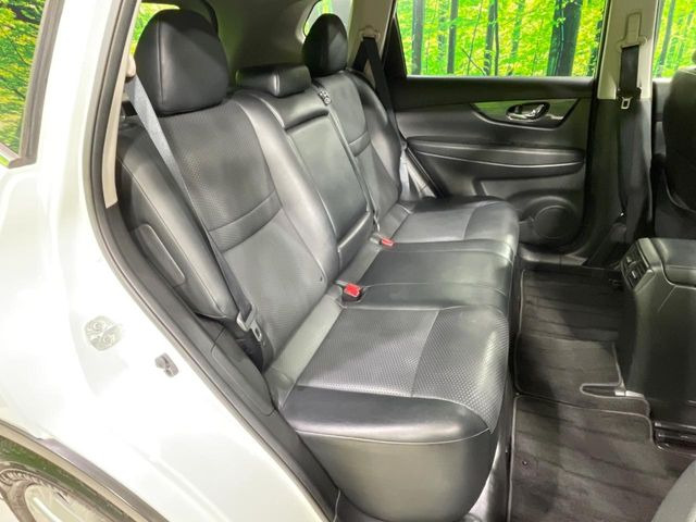 �㕔���Ȃ��C�ɂȂ�悤�ȃL�Y�E�����ւ��蓙�A�傫�ȃ_���[�W�͂Ȃ��A�ǍD�ȏ�Ԃł��B