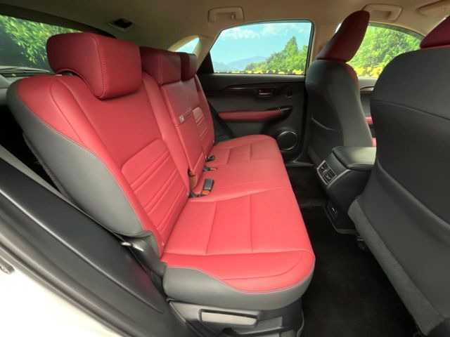 �㕔���Ȃ��C�ɂȂ�悤�ȃL�Y�E�����ւ��蓙�A�傫�ȃ_���[�W�͂Ȃ��A�ǍD�ȏ�Ԃł��B