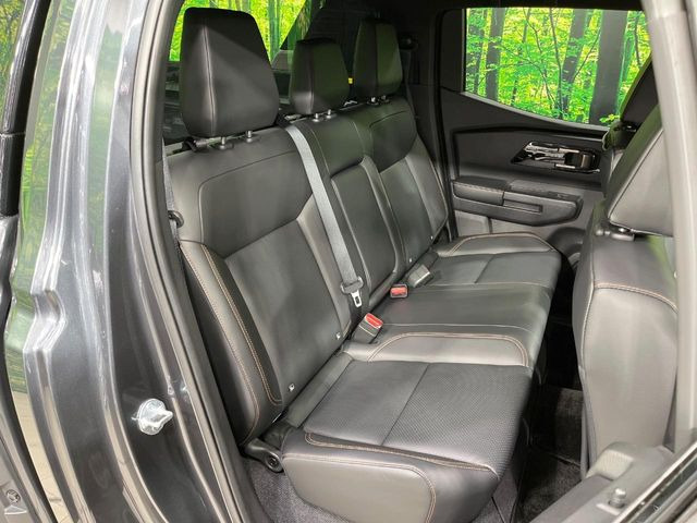 �㕔���Ȃ��C�ɂȂ�悤�ȃL�Y�E�����ւ��蓙�A�傫�ȃ_���[�W�͂Ȃ��A�ǍD�ȏ�Ԃł��B