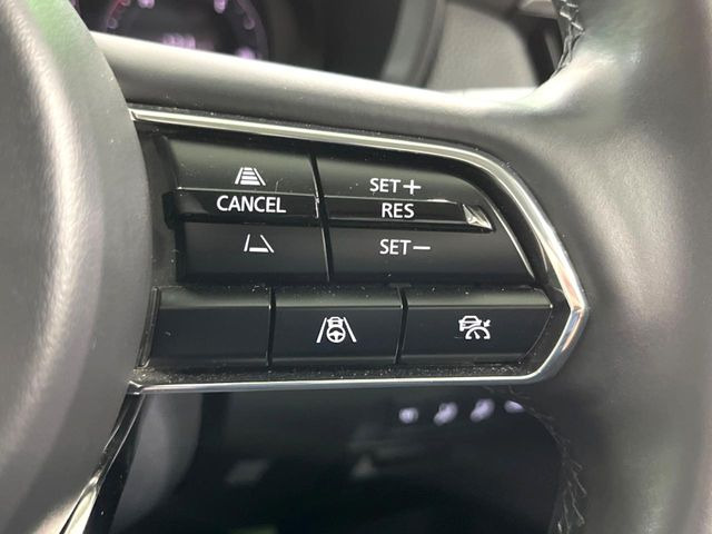 �y�}�c�_�E���[�_�[�N���[�Y�R���g���[���z�������H�ł̒��������s���y��!�����ő��x��ۂN���[�Y�R���g���[�����A�Փˌy���V�X�e���ƘA�g���A�O���̎ԗ������m���ĎԊԂ�ۂ悤�ɑ��x���߂��Ă���܂�!!