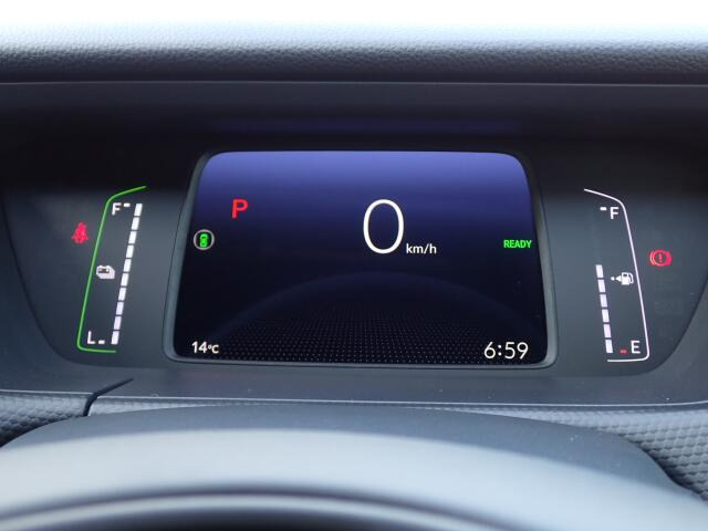 ���[�^�[�p�l�����m�肽����񂪈�ڗđR�ł��ˁB