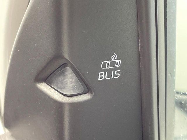 ��BLIS:�h���C�o�[�̎��p���������ԗ������o���āA���̂𖢑R�ɖh���V�X�e���ł��B���[�_�[�Z���T�[������̕����Ԃ����o����ƁA�Y�����鑤�̃h�A�~���[����LED���_�������ӂ𑣂��܂��B