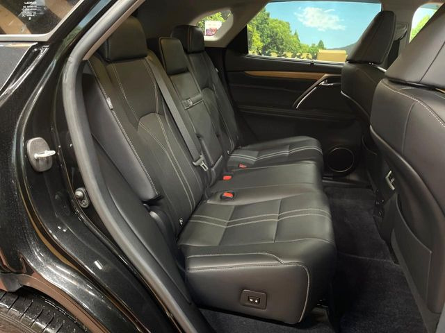 �㕔���Ȃ��C�ɂȂ�悤�ȃL�Y�E�����ւ��蓙�A�傫�ȃ_���[�W�͂Ȃ��A�ǍD�ȏ�Ԃł��B