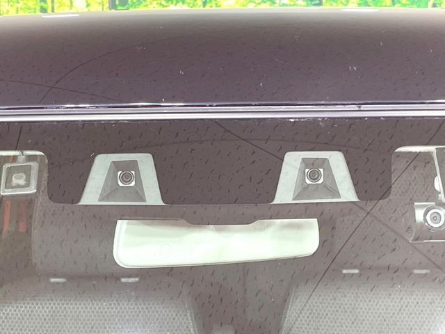 ハスラータフワイルド