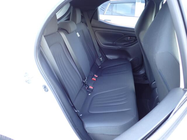 �㕔���Ȃ��傫�ȎC����Ȃ���ԗǍD�ł��B