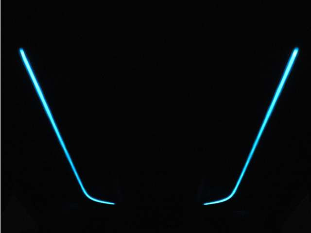 夜間に室内を照らしてくれるルームライトです