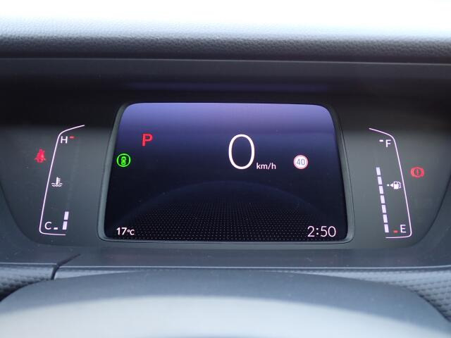 ���[�^�[�p�l�����m�肽����񂪈�ڗđR�ł��ˁB