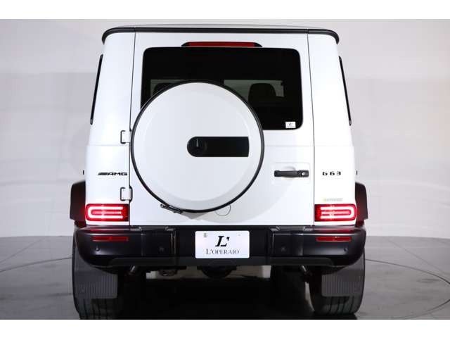 �w�ʃ^�C���𑕔����Ă���AG�N���X���L�̗͋����X�^�C�����ۗ�������f�U�C���ƂȂ��Ă���܂��B�܂��A����̃p���N���ɂ����S�ł�����p�������˔����������ł������܂��B