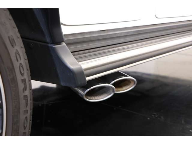 �f���A���G�O�]�[�X�g���̗p���Ă���A�͋����G���W���T�E���h�ƃX�|�[�e�B�ȕ��͋C�����o�������܂��B���s���̔��͂���r�C�����A����̊y��������w�������Ă鑕���ł������܂��B