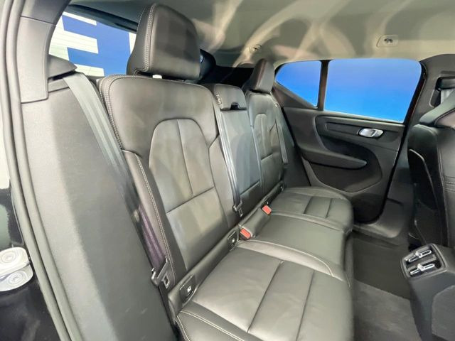 ���㕔���Ȃ��C�ɂȂ�悤�ȃL�Y�E�����ւ��蓙�A�傫�ȃ_���[�W�͂Ȃ��A�ǍD�ȏ�Ԃł��B