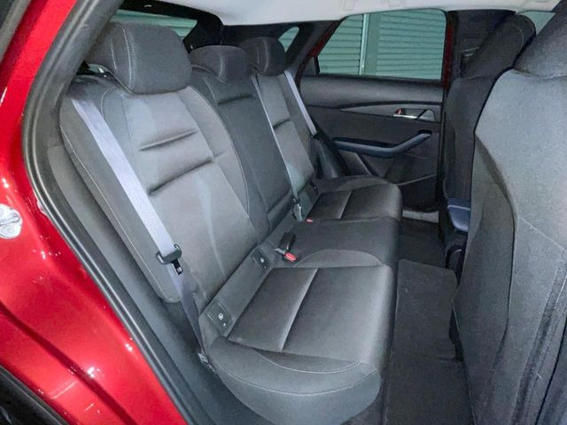 �㕔���Ȃ��C�ɂȂ�悤�ȃL�Y�E�����ւ��蓙�A�傫�ȃ_���[�W�͂Ȃ��A�ǍD�ȏ�Ԃł��B