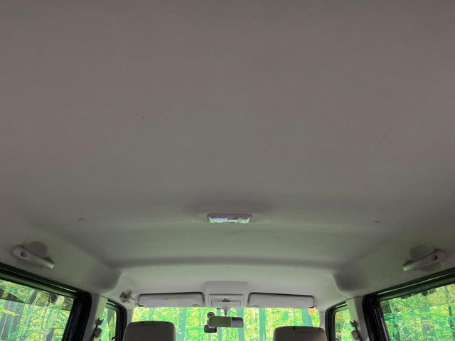 �㕔���Ȃ��C�ɂȂ�悤�ȃL�Y�E�����ւ��蓙�A�傫�ȃ_���[�W�͂Ȃ��A�ǍD�ȏ�Ԃł��B