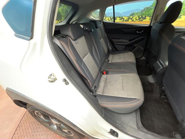 �㕔���Ȃ��C�ɂȂ�悤�ȃL�Y�E�����ւ��蓙�A�傫�ȃ_���[�W�͂Ȃ��A�ǍD�ȏ�Ԃł��B