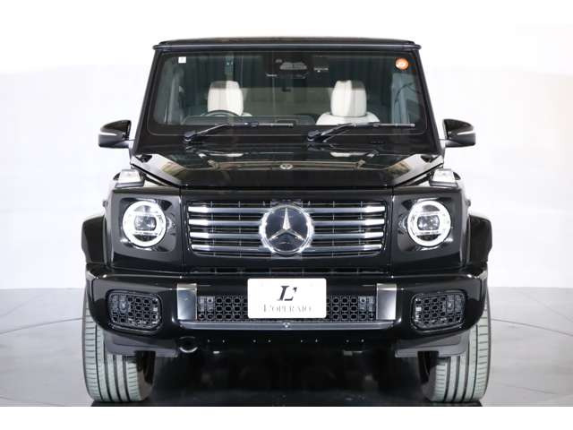 ���[���`�G�f�B�V������p��������������ʎd�l�B�ʏ탂�f���Ƃ͈قȂ鑕�����e�ŁA���L�����x�̍������ł��B