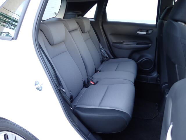 �㕔���Ȃ��傫�ȎC����Ȃ���ԗǍD�ł��B