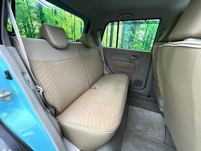 �㕔���Ȃ��C�ɂȂ�悤�ȃL�Y�E�����ւ��蓙�A�傫�ȃ_���[�W�͂Ȃ��A�ǍD�ȏ�Ԃł��B