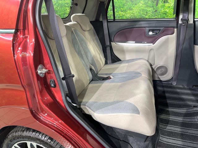 �㕔���Ȃ��C�ɂȂ�悤�ȃL�Y�E�����ւ��蓙�A�傫�ȃ_���[�W�͂Ȃ��A�ǍD�ȏ�Ԃł��B