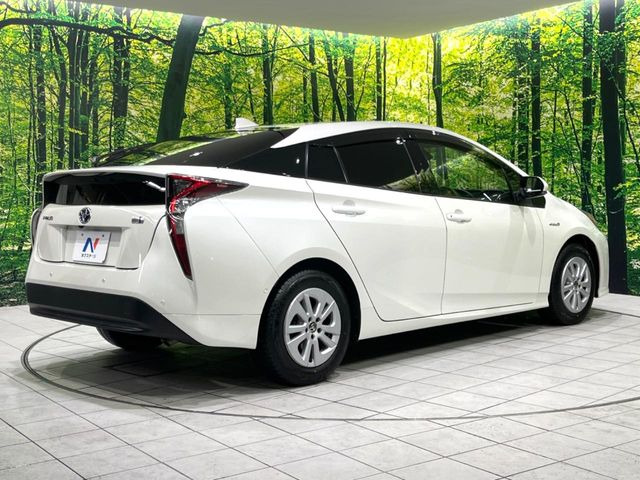 ��D�]�𒸂��Ă���܂��{�f�B�̒e�X�v���b�V���R�[�g���D�]��t���B�ʏ�̃K���X�R�[�g�ƈقȂ�A�ϋv�N��6�N�̖��@���K���X�R�[�e�B���O���A�{�f�B���L���C�ȏ�Ԃɕۂ��Ă���܂��B