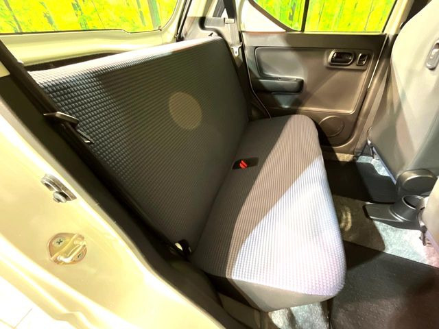 �㕔���Ȃ��C�ɂȂ�悤�ȃL�Y�E�����ւ��蓙�A�傫�ȃ_���[�W�͂Ȃ��A�ǍD�ȏ�Ԃł��B