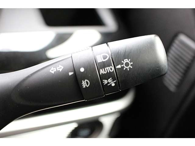 �I�[�g���C�g