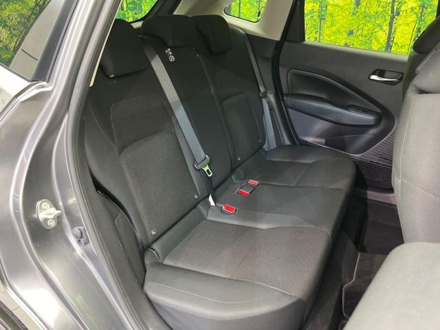 �㕔���Ȃ��C�ɂȂ�悤�ȃL�Y�E�����ւ��蓙�A�傫�ȃ_���[�W�͂Ȃ��A�ǍD�ȏ�Ԃł��B