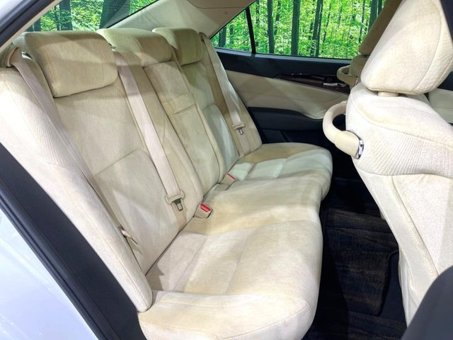 �㕔���Ȃ��C�ɂȂ�悤�ȃL�Y�E�����ւ��蓙�A�傫�ȃ_���[�W�͂Ȃ��A�ǍD�ȏ�Ԃł��B