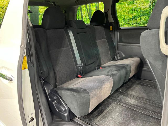 �㕔���Ȃ��C�ɂȂ�悤�ȃL�Y�E�����ւ��蓙�A�傫�ȃ_���[�W�͂Ȃ��A�ǍD�ȏ�Ԃł��B