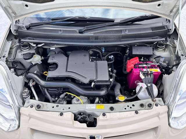 ���|�ς݂Ŕ��ɂ��ꂢ�ł���!!