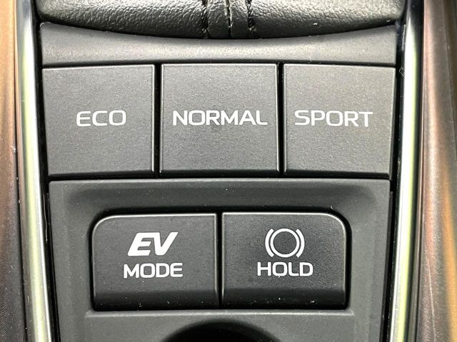 �y�I�[�g�u���[�L�z�[���h�z�M���҂���a�؂Œ�Ԏ��Ƀu���[�L���瑫�𗣂��Ă��A��~��Ԃ�ێ����Ă���܂��B�O�i����Ƃ��̓A�N�Z���𓥂߂Ύ����ŉ��������̂ň��S��X���^�]���y�ɂȂ�܂���