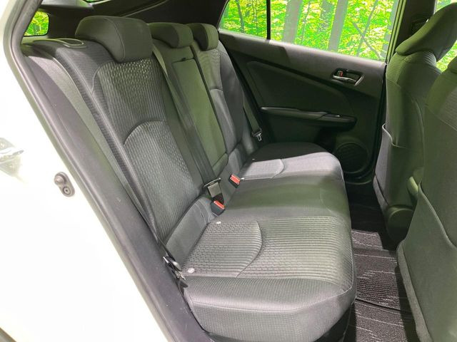 �㕔���Ȃ��C�ɂȂ�悤�ȃL�Y�E�����ւ��蓙�A�傫�ȃ_���[�W�͂Ȃ��A�ǍD�ȏ�Ԃł��B