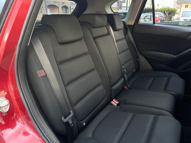 �㕔���Ȃ��C�ɂȂ�悤�ȃL�Y�E�����ւ��蓙�A�傫�ȃ_���[�W�͂Ȃ��A�ǍD�ȏ�Ԃł��B