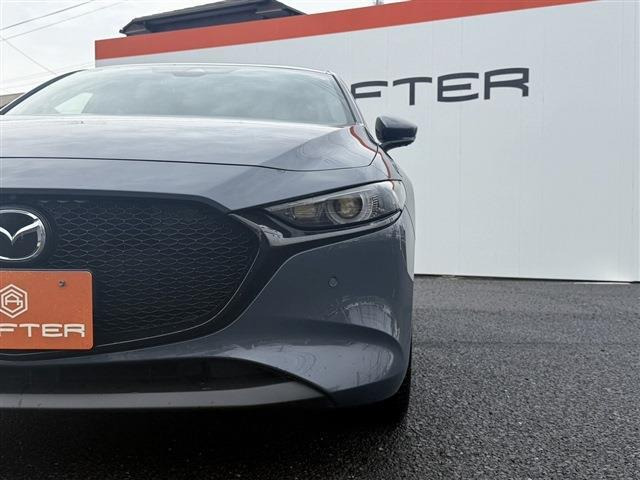 ���Ǝҗl�ւ̔̔��͂��f�肳���Ă��������܂��B �Ԍ������ԗ��̏ꍇ�́A�Ԍ����擾�������x�������z�ŕ\�����Ă���܂��B