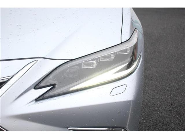 ���Ǝҗl�ւ̔̔��͂��f�肳���Ă��������܂��B �Ԍ������ԗ��̏ꍇ�́A�Ԍ����擾�������x�������z�ŕ\�����Ă���܂��B