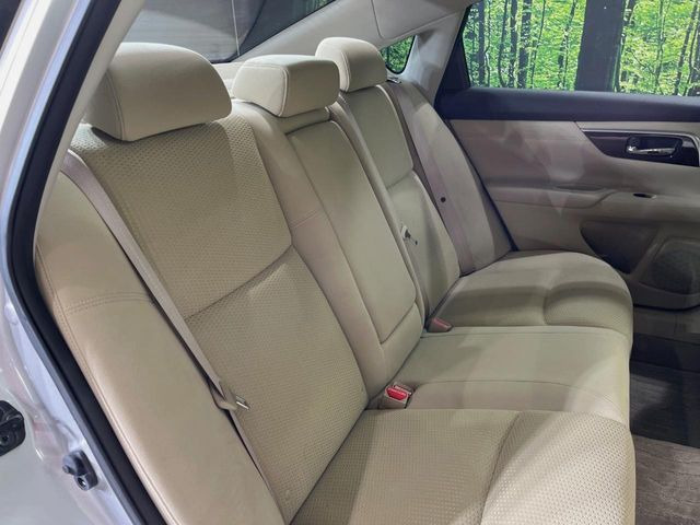 �㕔���Ȃ��C�ɂȂ�悤�ȃL�Y�E�����ւ��蓙�A�傫�ȃ_���[�W�͂Ȃ��A�ǍD�ȏ�Ԃł��B