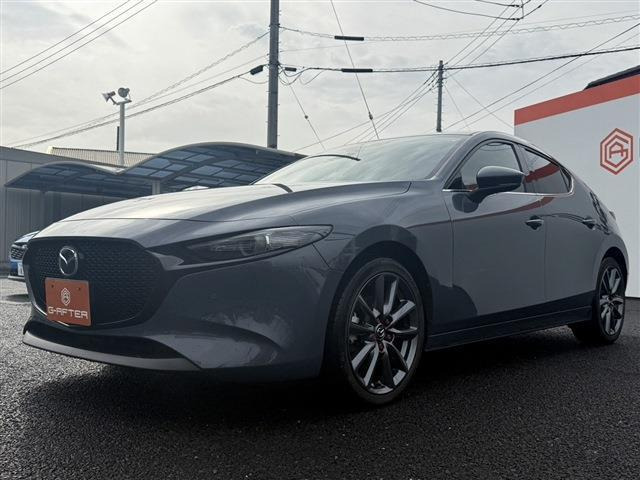 ���Ǝҗl�ւ̔̔��͂��f�肳���Ă��������܂��B �Ԍ������ԗ��̏ꍇ�́A�Ԍ����擾�������x�������z�ŕ\�����Ă���܂��B