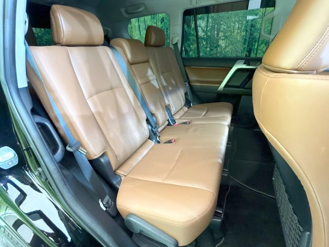 �㕔���Ȃ��C�ɂȂ�悤�ȃL�Y�E�����ւ��蓙�A�傫�ȃ_���[�W�͂Ȃ��A�ǍD�ȏ�Ԃł��B