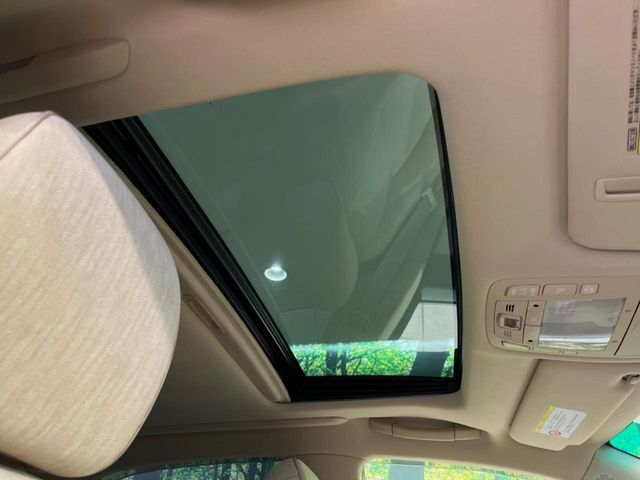 �y�T�����[�t�z�J���������Ղ�̊󏭑����A�T�����[�t����������Ă��܂�!�ԓ��ɖ�����������ꂽ��i�F���y���ވȊO�ɂ��A�ԓ��̋�C���ȒP�Ɋ��C�ł��ĉ��K�ł�!