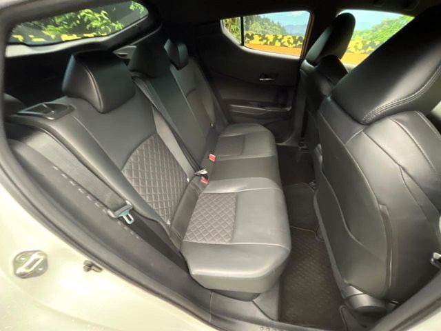 �㕔���Ȃ��C�ɂȂ�悤�ȃL�Y�E�����ւ��蓙�A�傫�ȃ_���[�W�͂Ȃ��A�ǍD�ȏ�Ԃł��B