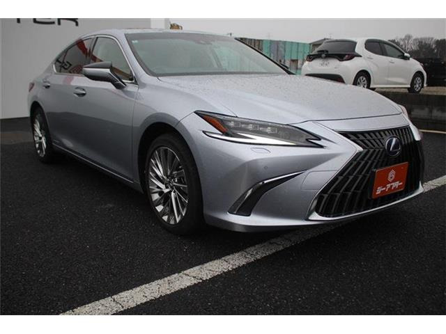 ���Ǝҗl�ւ̔̔��͂��f�肳���Ă��������܂��B �Ԍ������ԗ��̏ꍇ�́A�Ԍ����擾�������x�������z�ŕ\�����Ă���܂��B