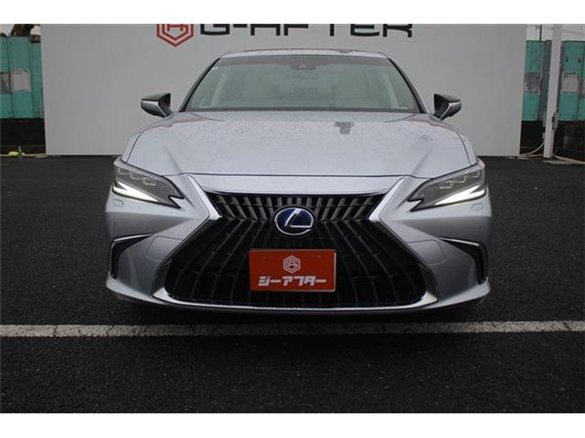 ���Ǝҗl�ւ̔̔��͂��f�肳���Ă��������܂��B �Ԍ������ԗ��̏ꍇ�́A�Ԍ����擾�������x�������z�ŕ\�����Ă���܂��B