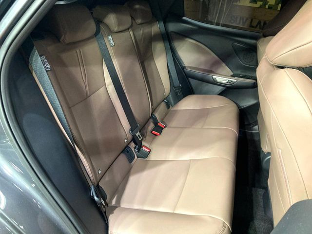 �㕔���Ȃ��C�ɂȂ�悤�ȃL�Y�E�����ւ��蓙�A�傫�ȃ_���[�W�͂Ȃ��A�ǍD�ȏ�Ԃł��B