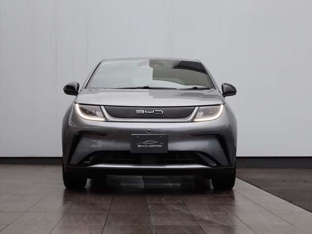 ドルフィンベースモデル