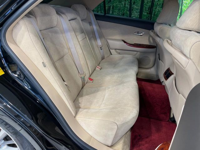 �㕔���Ȃ��C�ɂȂ�悤�ȃL�Y�E�����ւ��蓙�A�傫�ȃ_���[�W�͂Ȃ��A�ǍD�ȏ�Ԃł��B