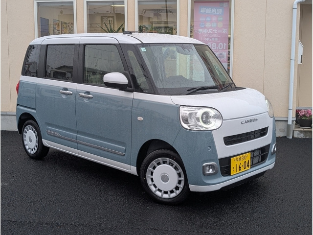 ムーヴキャンバスストライプス G