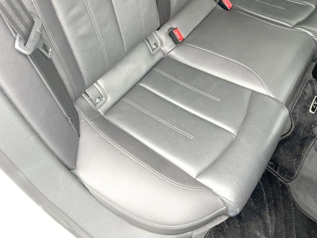 ���㕔���Ȃ��C�ɂȂ�悤�ȃL�Y�E�����ւ��蓙�A�傫�ȃ_���[�W�͂Ȃ��A�ǍD�ȏ�Ԃł��B